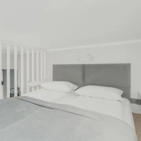 Charming And Modern With Mezzanine In Center By Renters Apartment *